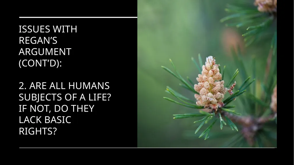 Chapter 3 Animal Rights Issue: Do animals—or at - slide 20 of 35