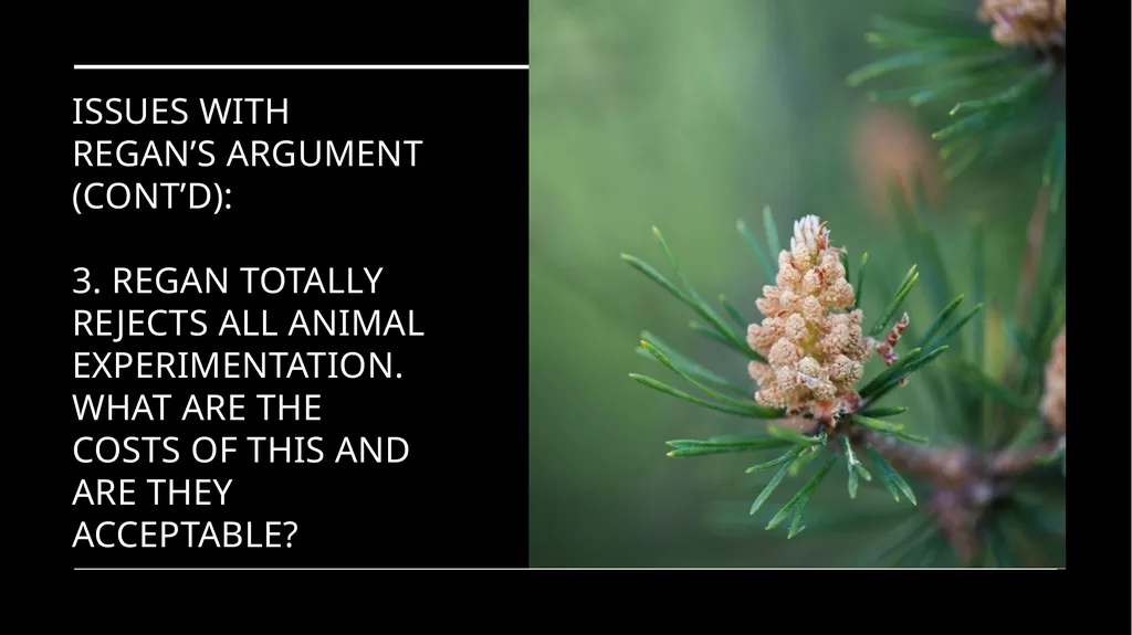 Chapter 3 Animal Rights Issue: Do animals—or at - slide 21 of 35