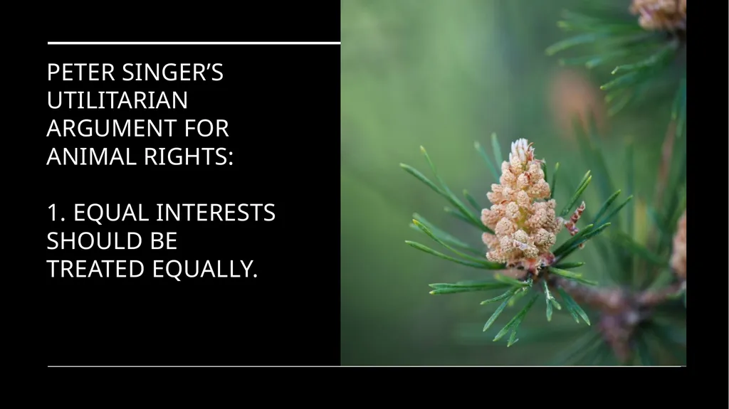 Chapter 3 Animal Rights Issue: Do animals—or at - slide 5 of 35