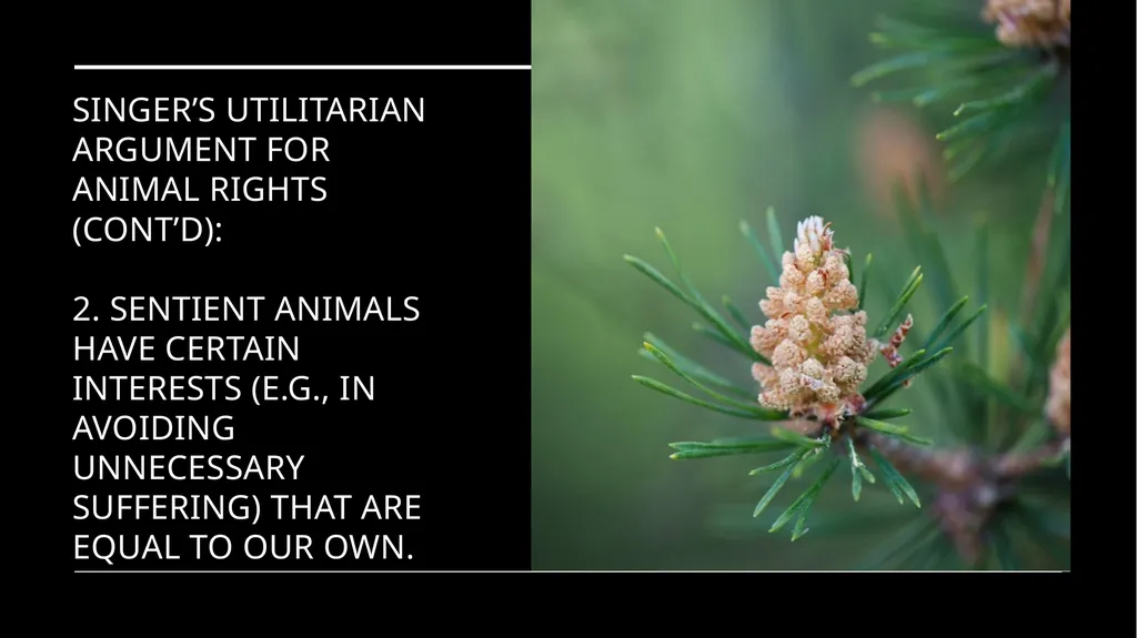 Chapter 3 Animal Rights Issue: Do animals—or at - slide 6 of 35