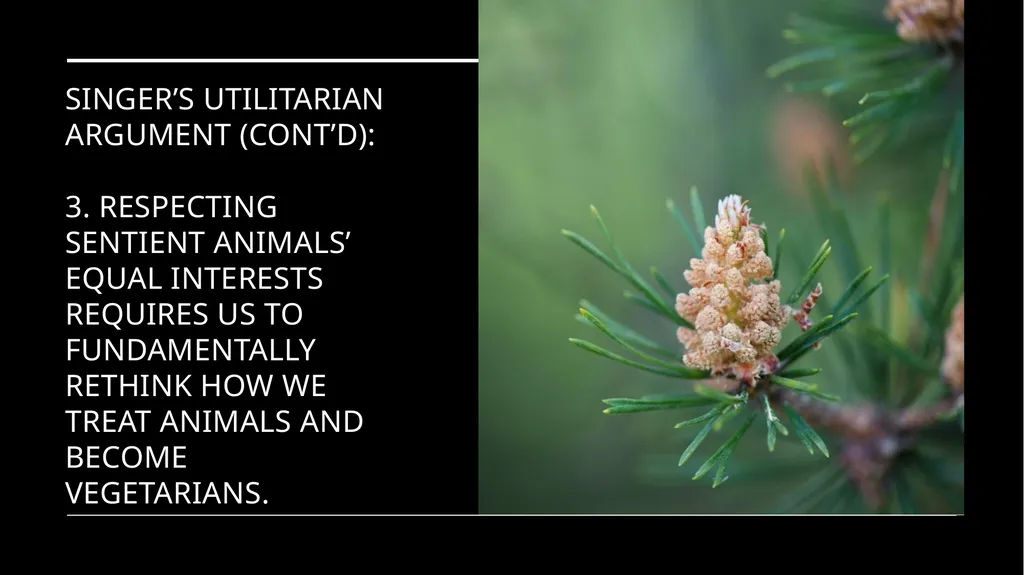 Chapter 3 Animal Rights Issue: Do animals—or at - slide 7 of 35