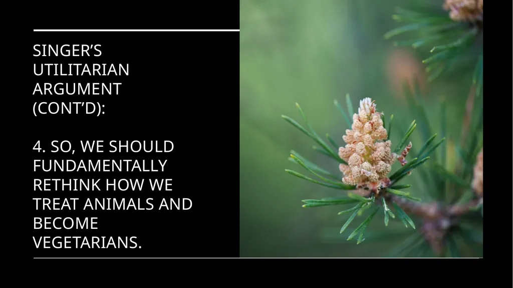 Chapter 3 Animal Rights Issue: Do animals—or at - slide 8 of 35