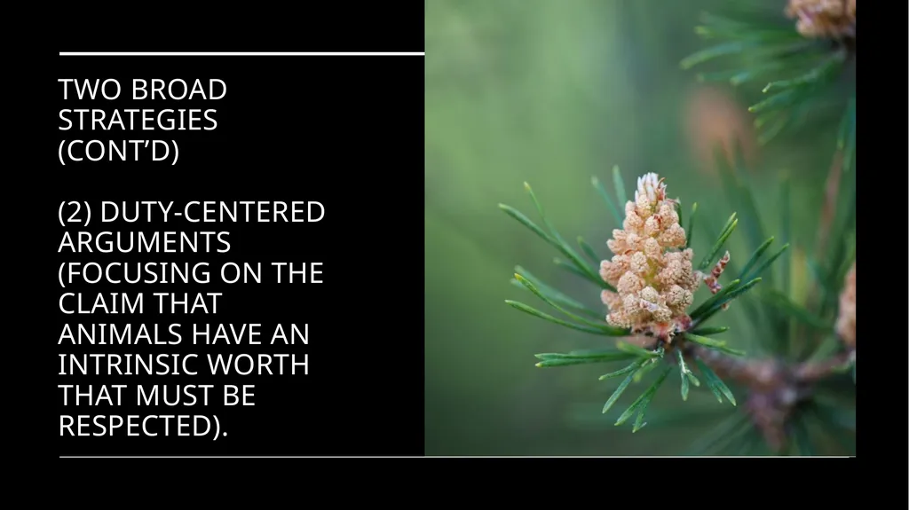 Chapter 3 Animal Rights Issue: Do animals—or at - slide 4 of 35