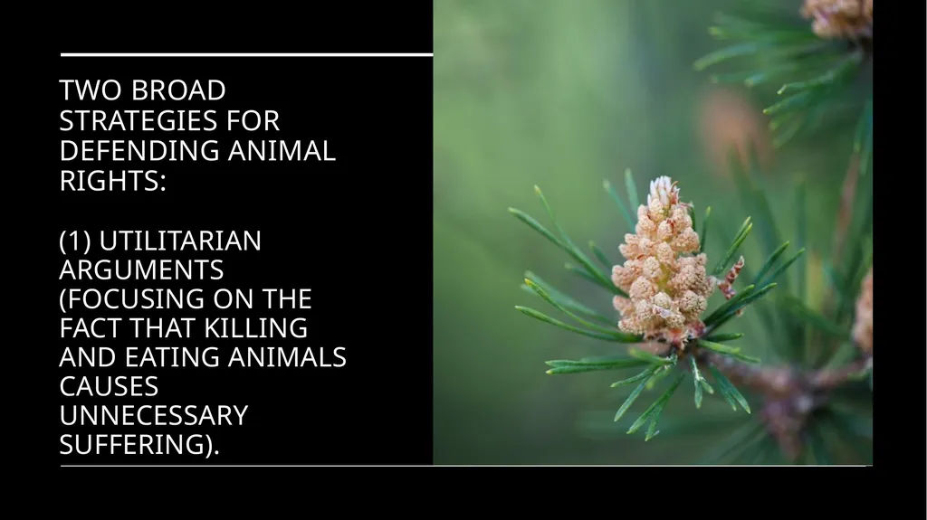 Chapter 3 Animal Rights Issue: Do animals—or at - slide 3 of 35
