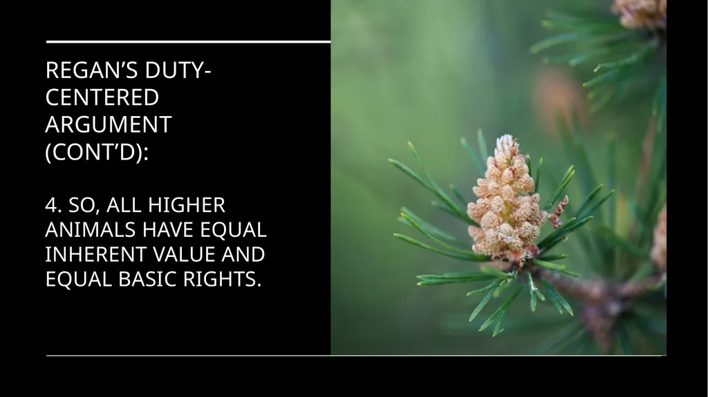 Chapter 3 Animal Rights Issue: Do animals—or at - slide 18 of 35