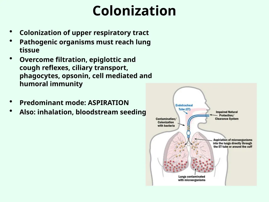 Sources of Healthcare Associated Infections - slide 20 of 29