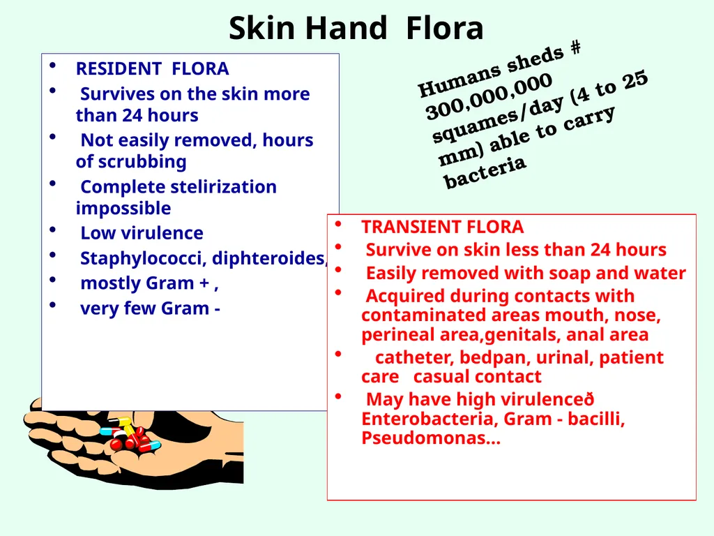 Sources of Healthcare Associated Infections - slide 5 of 29