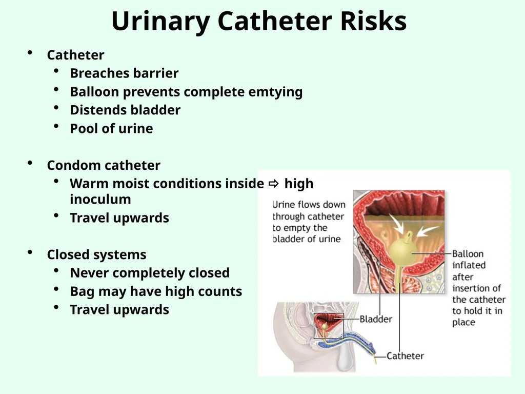 Sources of Healthcare Associated Infections - slide 27 of 29