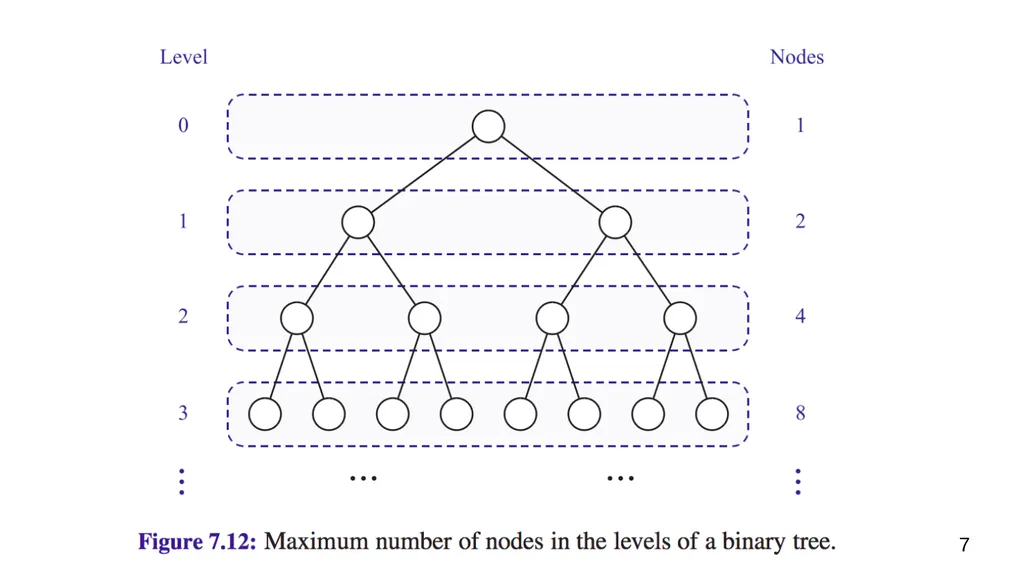 Data Structures & Programming Binary Trees - slide 7 of 20