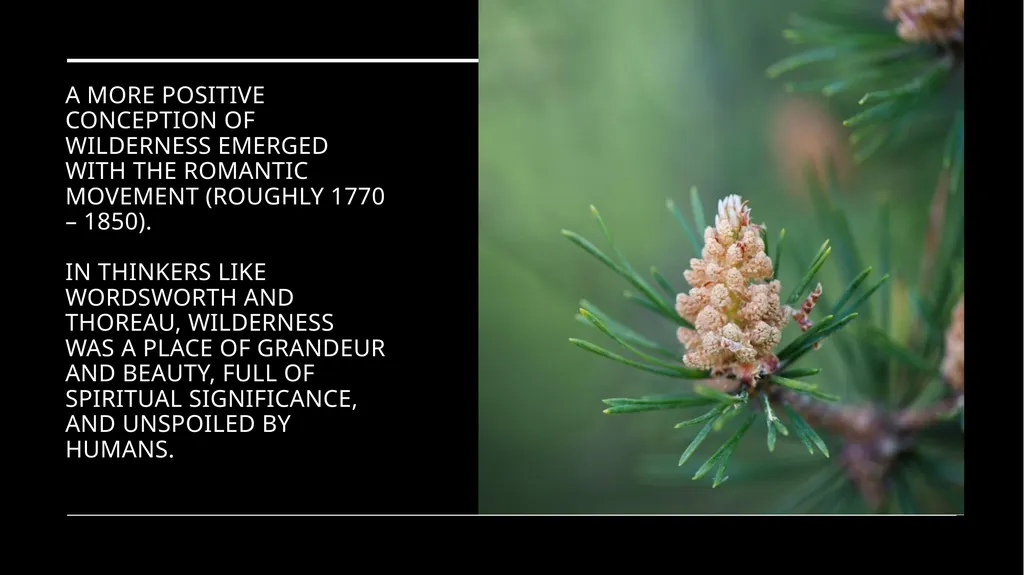 Chapter 11 Wilderness Preservation Wilderness - slide 6 of 41