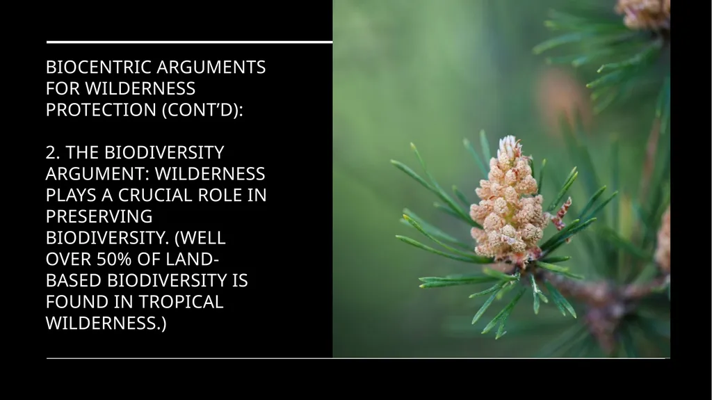 Chapter 11 Wilderness Preservation Wilderness - slide 25 of 41
