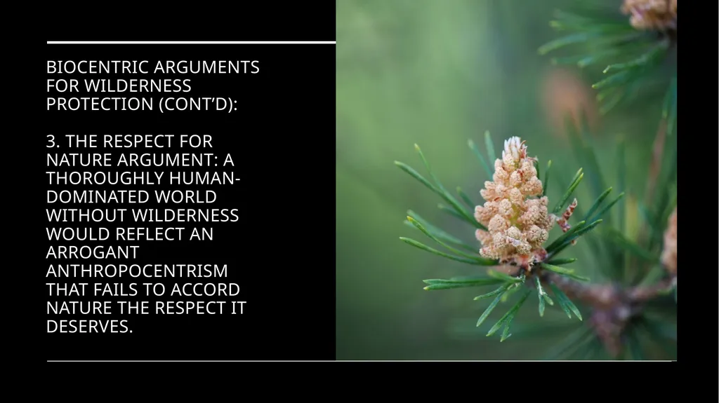 Chapter 11 Wilderness Preservation Wilderness - slide 26 of 41