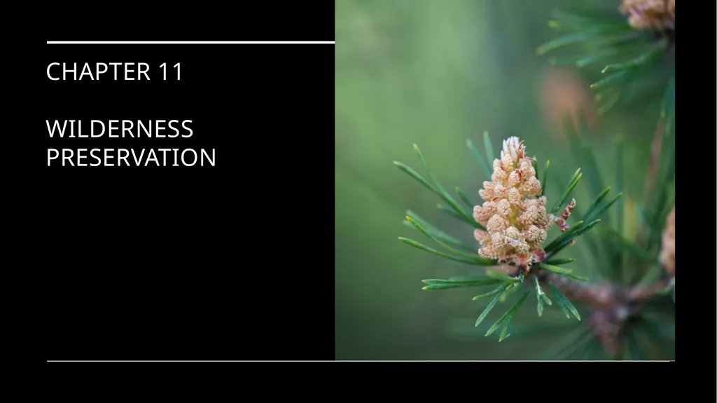 Chapter 11 Wilderness Preservation Wilderness - slide 1 of 41
