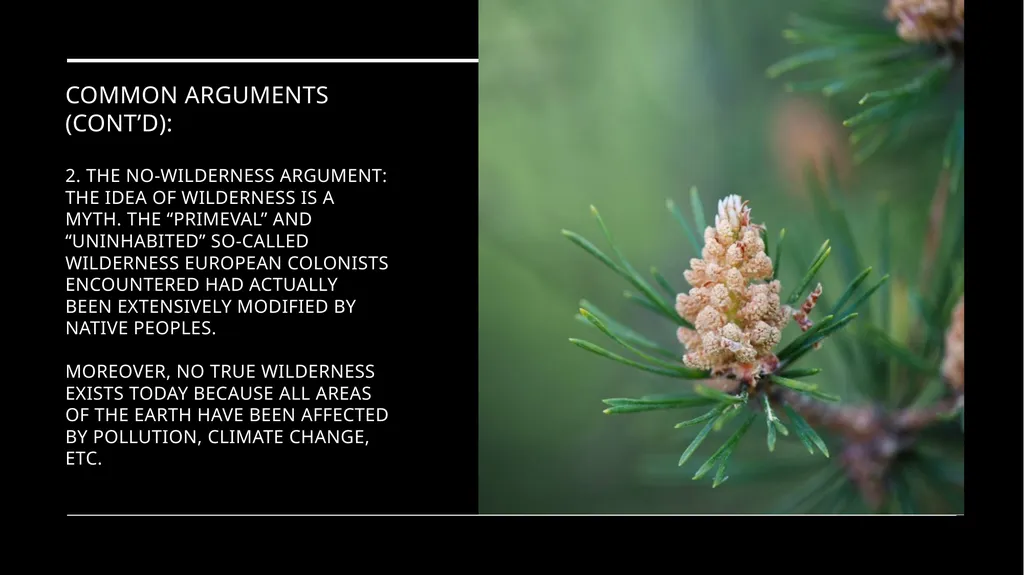 Chapter 11 Wilderness Preservation Wilderness - slide 29 of 41