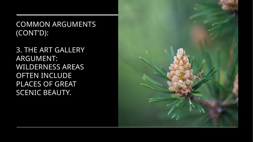 Chapter 11 Wilderness Preservation Wilderness - slide 17 of 41