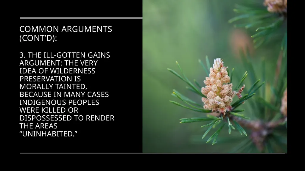 Chapter 11 Wilderness Preservation Wilderness - slide 31 of 41