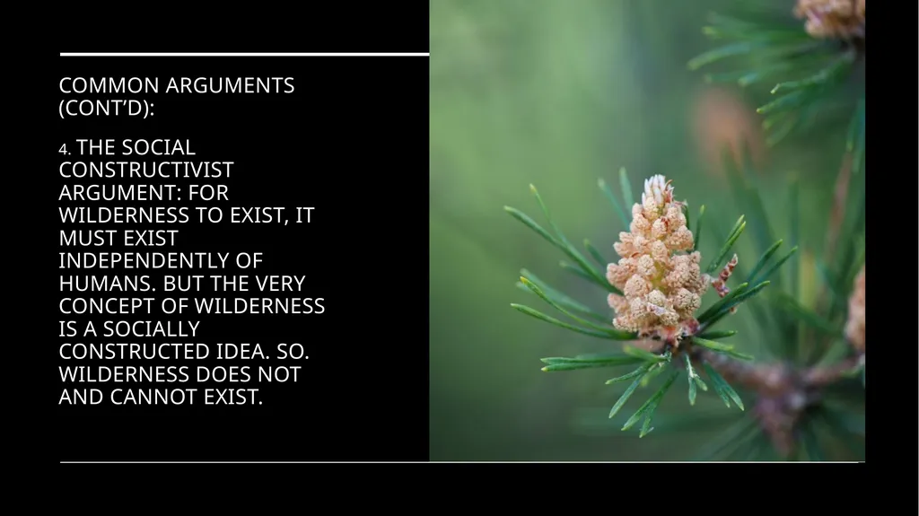 Chapter 11 Wilderness Preservation Wilderness - slide 34 of 41