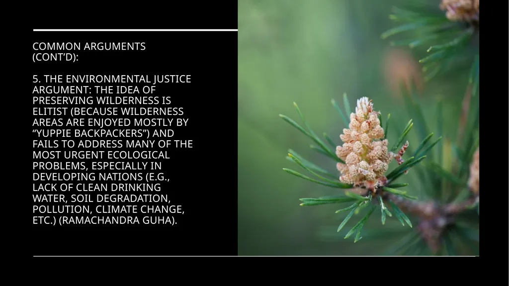 Chapter 11 Wilderness Preservation Wilderness - slide 36 of 41