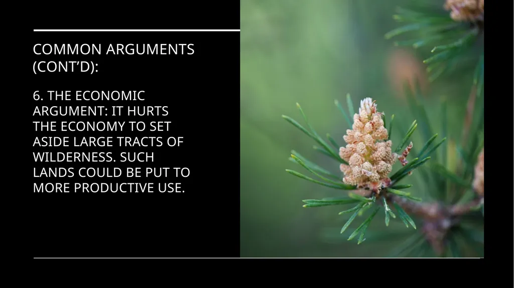 Chapter 11 Wilderness Preservation Wilderness - slide 39 of 41