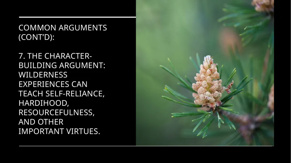 Chapter 11 Wilderness Preservation Wilderness - slide 21 of 41