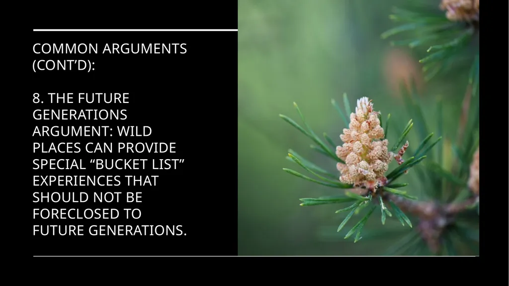 Chapter 11 Wilderness Preservation Wilderness - slide 22 of 41