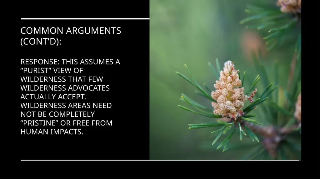 Chapter 11 Wilderness Preservation Wilderness - slide 28 of 41