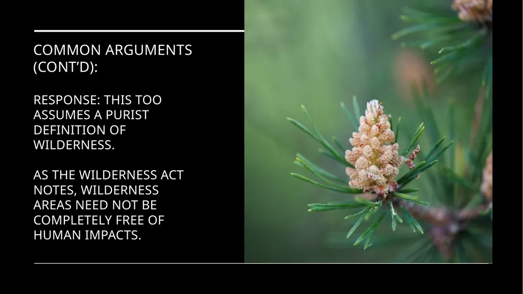 Chapter 11 Wilderness Preservation Wilderness - slide 30 of 41