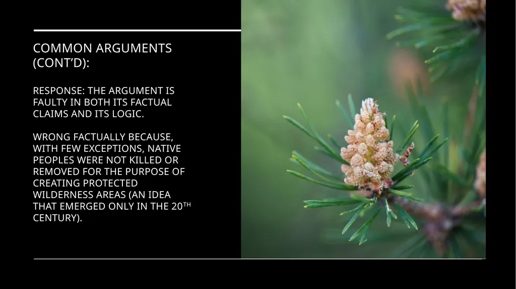 Chapter 11 Wilderness Preservation Wilderness - slide 32 of 41