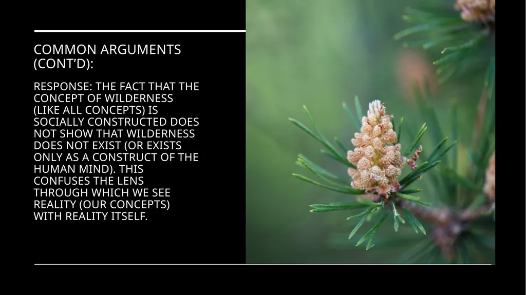 Chapter 11 Wilderness Preservation Wilderness - slide 35 of 41