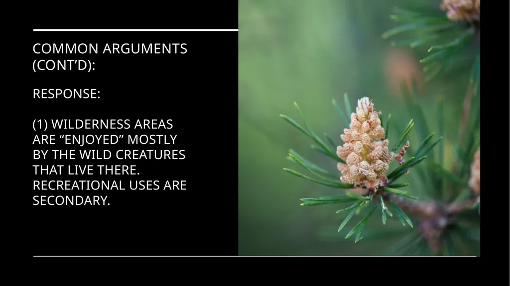 Chapter 11 Wilderness Preservation Wilderness - slide 37 of 41