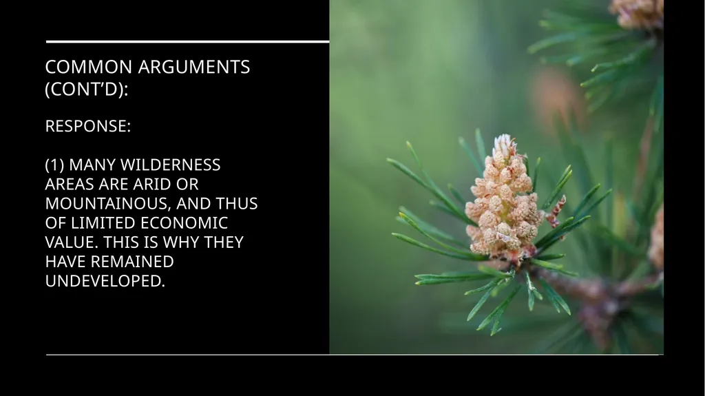 Chapter 11 Wilderness Preservation Wilderness - slide 40 of 41