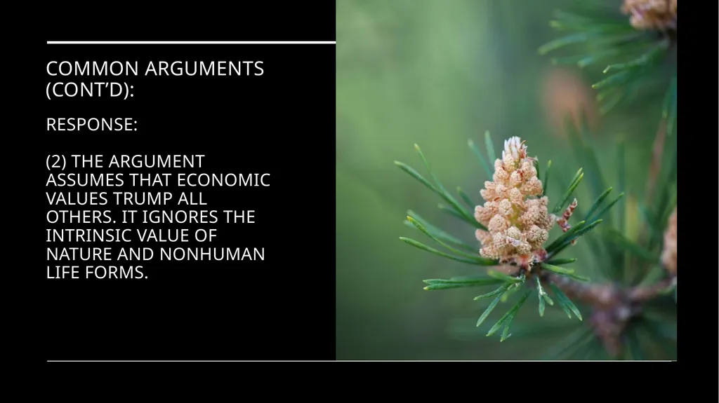 Chapter 11 Wilderness Preservation Wilderness - slide 41 of 41