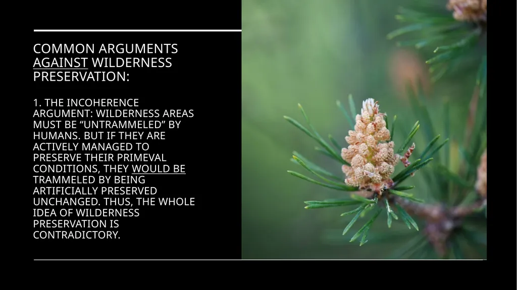 Chapter 11 Wilderness Preservation Wilderness - slide 27 of 41