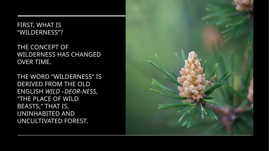 Chapter 11 Wilderness Preservation Wilderness - slide 3 of 41