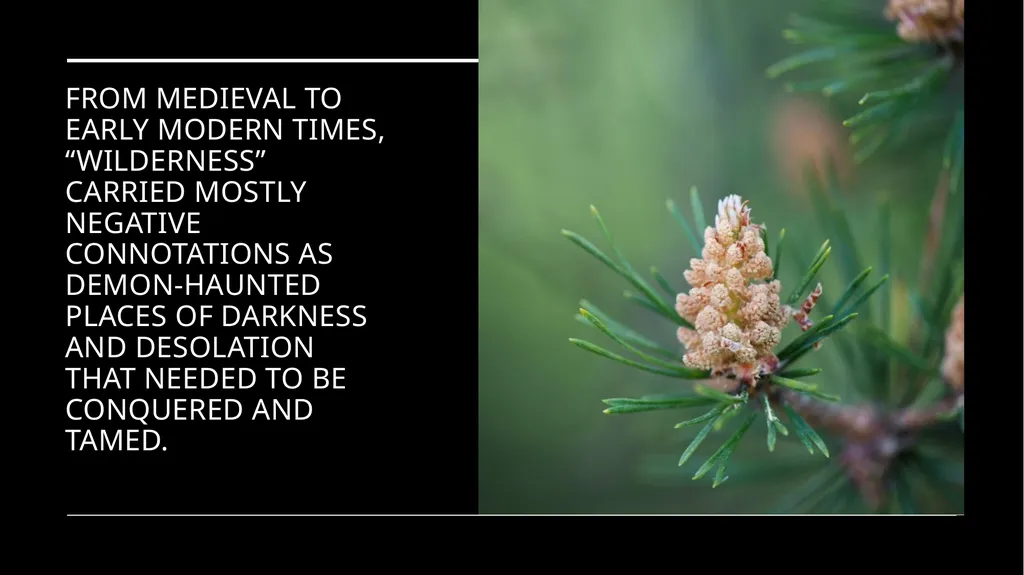 Chapter 11 Wilderness Preservation Wilderness - slide 5 of 41