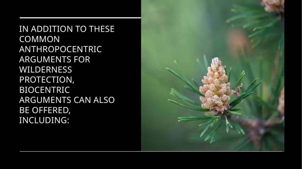 Chapter 11 Wilderness Preservation Wilderness - slide 23 of 41