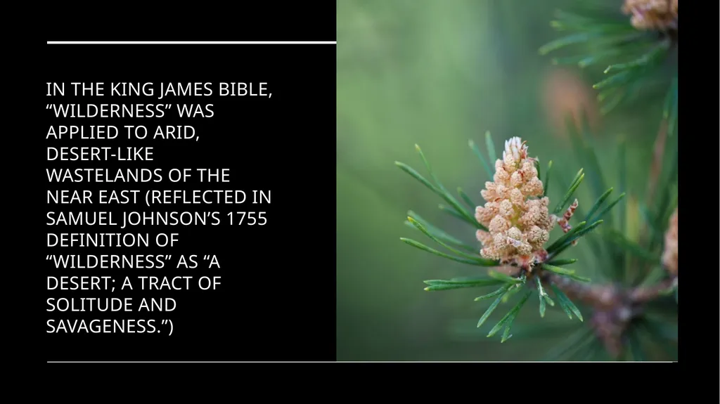 Chapter 11 Wilderness Preservation Wilderness - slide 4 of 41