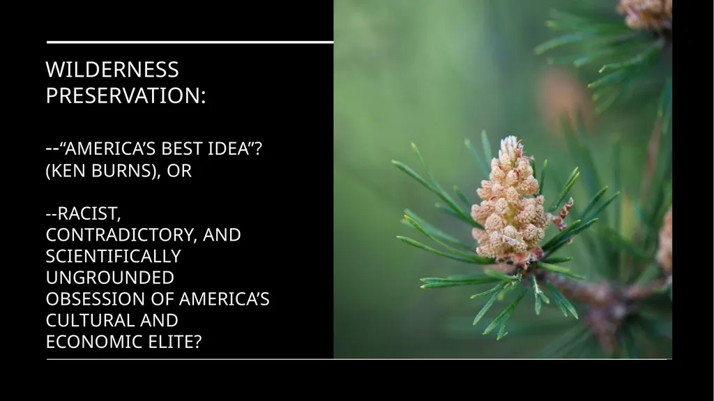 Chapter 11 Wilderness Preservation Wilderness - slide 2 of 41