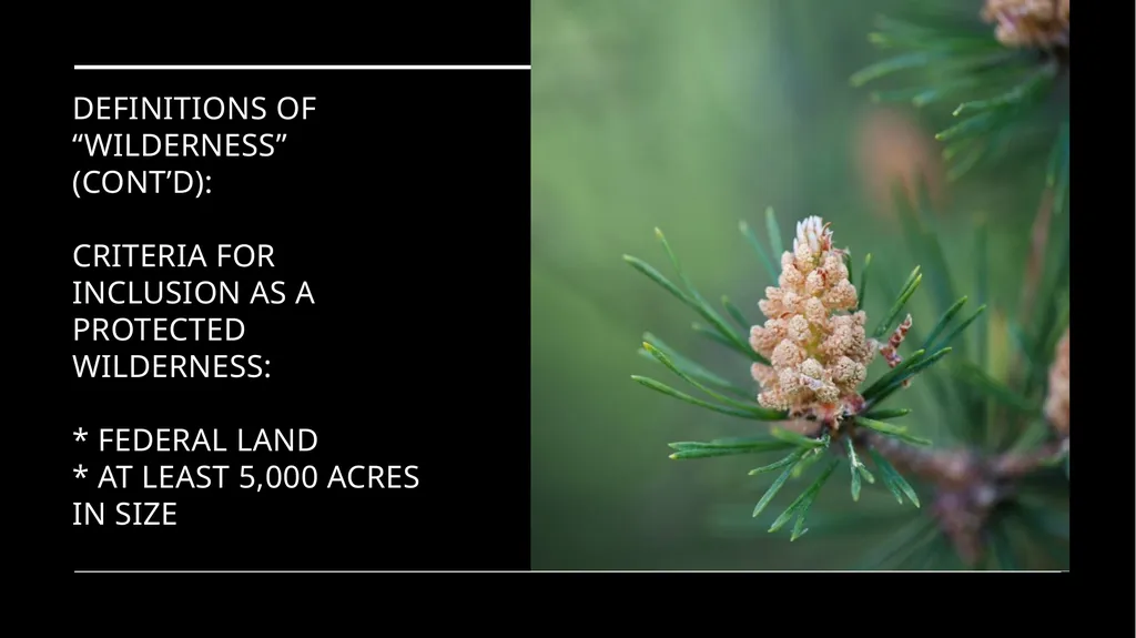Chapter 11 Wilderness Preservation Wilderness - slide 10 of 41