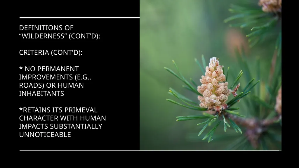 Chapter 11 Wilderness Preservation Wilderness - slide 11 of 41