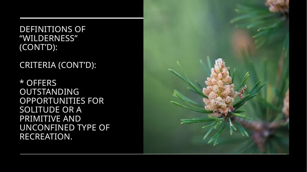 Chapter 11 Wilderness Preservation Wilderness - slide 12 of 41
