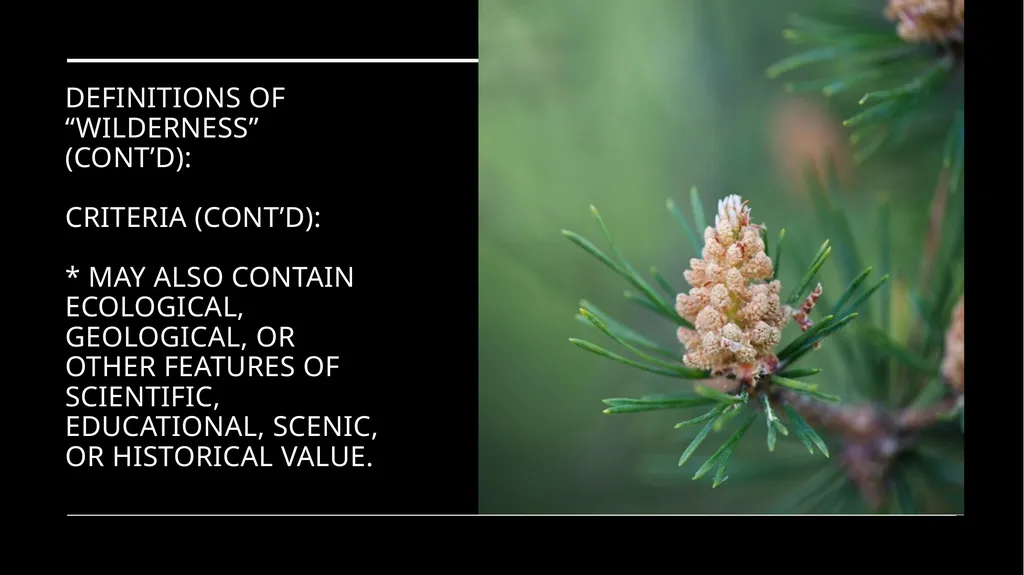 Chapter 11 Wilderness Preservation Wilderness - slide 13 of 41