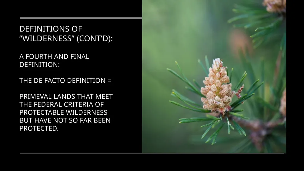 Chapter 11 Wilderness Preservation Wilderness - slide 14 of 41