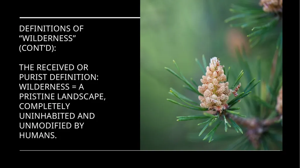 Chapter 11 Wilderness Preservation Wilderness - slide 8 of 41