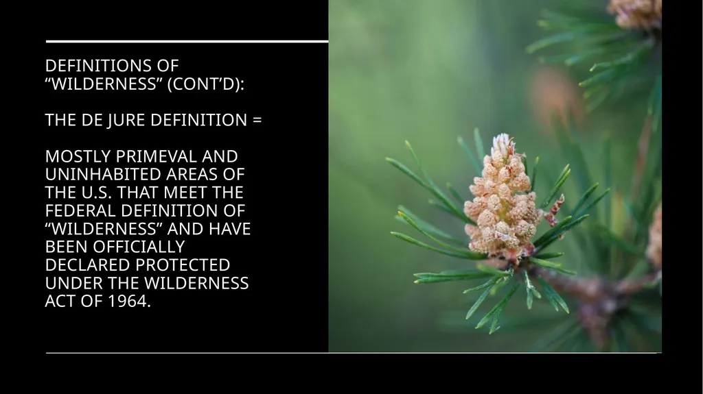 Chapter 11 Wilderness Preservation Wilderness - slide 9 of 41