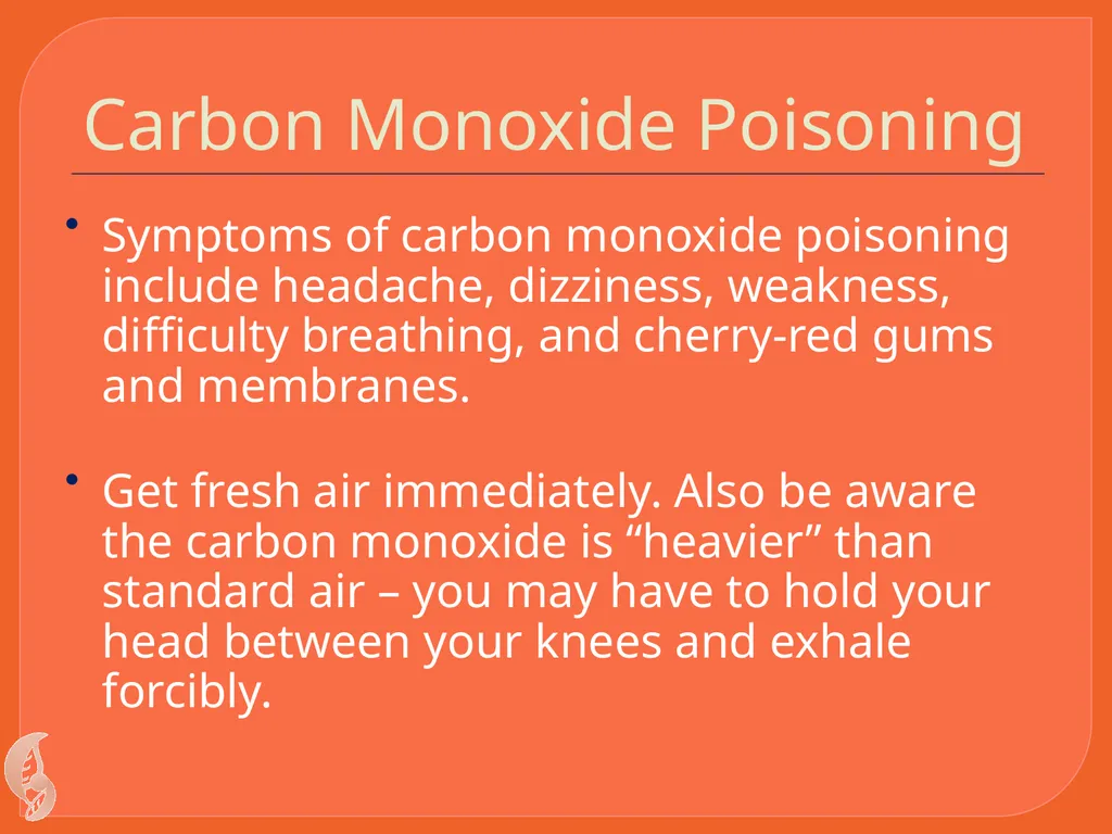 Wilderness Survival By C Kohn Waterford WI Basic - slide 25 of 29