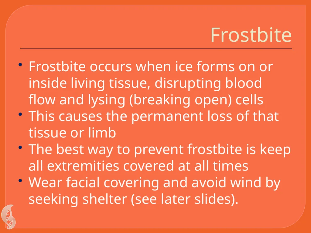 Wilderness Survival By C Kohn Waterford WI Basic - slide 20 of 29