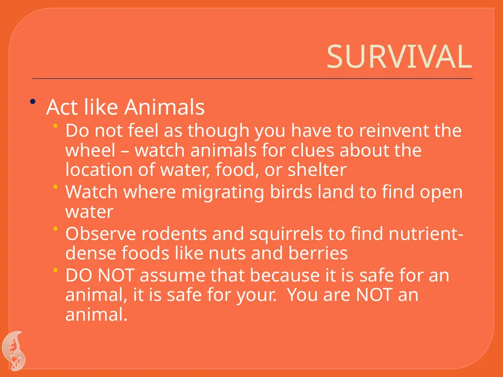 Wilderness Survival By C Kohn Waterford WI Basic - slide 11 of 29