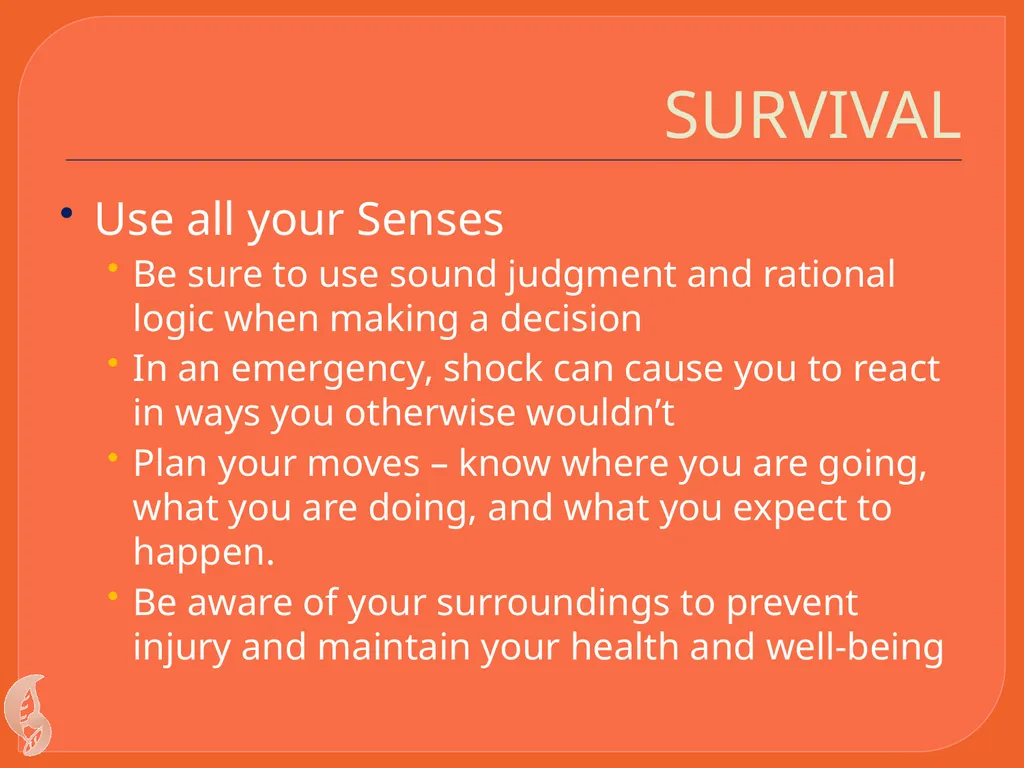 Wilderness Survival By C Kohn Waterford WI Basic - slide 6 of 29