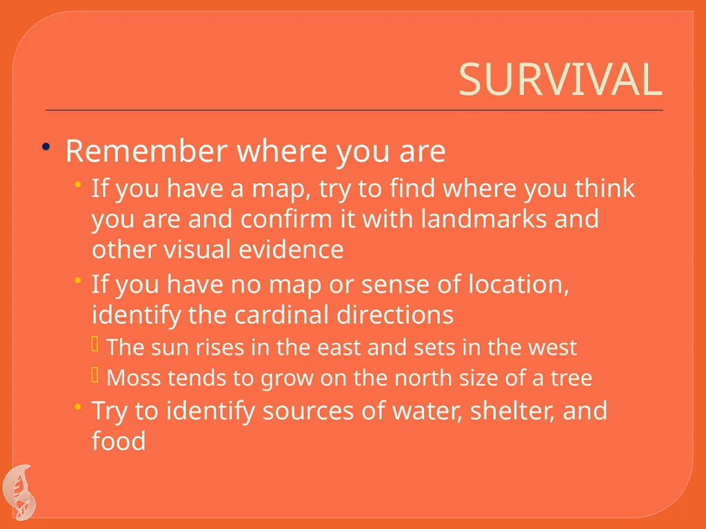 Wilderness Survival By C Kohn Waterford WI Basic - slide 7 of 29
